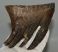 Mammuthus primigenius fog (808 gramm) Gyapjas mamut ELFOGYOTT (M) 06