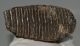 Mammuthus primigenius fog (808 gramm) Gyapjas mamut ELFOGYOTT (M) 06