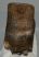 Mammuthus primigenius fog (808 gramm) Gyapjas mamut ELFOGYOTT (M) 06