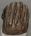 Mammuthus meridionalis partial tooth (1811 grams)