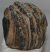 Mammuthus meridionalis partial tooth (1811 grams)