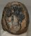 Mammuthus meridionalis partial tooth (1811 grams)