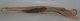 Bison priscus left lower jaw (463 mm)