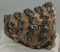Mammuthus meridionalis partial tooth (1185 grams)