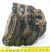 Mammuthus meridionalis részleges fog (1151 gramm)