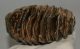 Mammuthus primigenius partial tooth (651 grams)