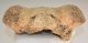 Deer partial skull bone SOLD (MIFI) 08