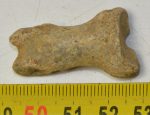 Ursus spelaeus ujjperc csont (35,6 mm) barlangi medve