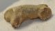 Ursus spelaeus ujjperc csont (35,6 mm) barlangi medve