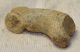 Ursus spelaeus ujjperc csont (35,6 mm) barlangi medve