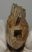 Megaloceros giganteus partial lower jaw  (216 mm)