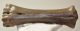 Bison sp. metacarpus bone (272 mm)