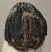 Mammuthus meridionalis tooth (4196 grams) Southern Mammoth