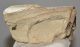 Mammuthus meridionalis részleges agyar töredék (259 gramm) ELFOGYOTT (JA) 06