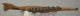 Megaloceros giganteus partial jaw (300 mm)