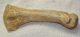 Ursus spelaeus metapodium bone (72,5 mm)