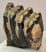 Mammuthus meridionalis partial tooth (941 gramm) ELFOGYOTT (TJA) 05