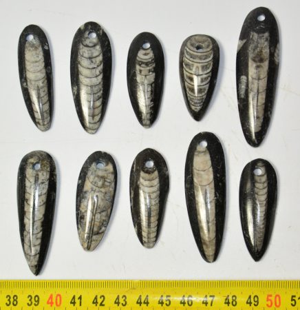 Orthoceras pendants 10 pieces