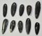 Orthoceras pendants 10 pieces