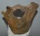 Mammuthus primigenius részleges csigolya csont (1098 gramm)