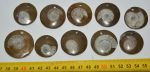 10 polished ammonite pendants (90 grams)