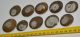 10 polished ammonite pendants (90 grams)