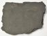 Komlosaurus carbonis footprint fossil 