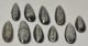 10 db Orthoceras medál (62,6 - 42,2 mm)