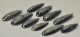 10 db Orthoceras medál (62,6 - 42,2 mm)