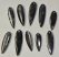 10 db Orthoceras medál (62,6 - 42,2 mm)