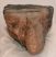 Mammuthus meridionalis fog (885 gramm) Mammuthus meridionalis fog (885 gramm)