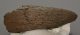  Bison sp. partial horn bone (160 mm)