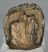 Mammuthus meridionalis részleges fog (1280 gramm)