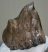 Mammuthus meridionalis partial tooth (703 grams)