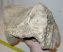 Mammoth ulna bone (3050 gram)