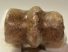 Equus sp. ló metatarsus csont (286 mm)