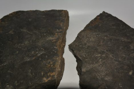 Komlosaurus carbonis footprint fossil pair (21,1 Kg) Komlosaurus carbonis footprint fossil pair (21,1 Kg)