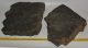 Komlosaurus carbonis footprint fossil pair (21,1 Kg) Komlosaurus carbonis footprint fossil pair (21,1 Kg)
