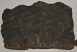 Komlosaurus carbonis footprint fossil pair (21,1 Kg) Komlosaurus carbonis footprint fossil pair (21,1 Kg)