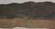 Komlosaurus carbonis footprint fossil pair (21,1 Kg) Komlosaurus carbonis footprint fossil pair (21,1 Kg)