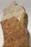 Jeanthieuloyites sp. ammomite from Hungary