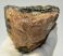 Mammuthus meridionalis tooth (1800 grams) Southern mammoth