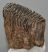 Mammuthus primigenius fog (1431 gramm)