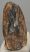 Mammuthus primigenius fog (1431 gramm)
