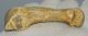 Ursus spelaeus metapodial finger bone ( 68 mm) Cave Bear