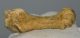 Ursus spelaeus metapodial finger bone ( 68 mm) Cave Bear