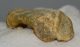 Ursus spelaeus metapodial finger bone ( 68 mm) Cave Bear