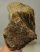 Mammuthus meridionalis részleges állkapocs csont (1995 gramm) ELFOGYOTT (LL B) 11