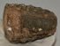 Mammuthus meridionalis partial upper tooth (1246 grams)