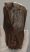 Mammuthus primigenius tooth (1322 grams) Woolly Mammoth